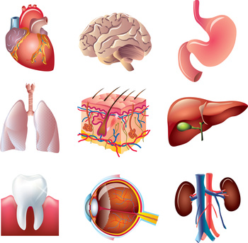 3 Pièces Orthese Anti Ronflement, Gouttiere Dentaire Bruxisme, Dispositifs  Anti-Ronflement, Anti Ronflement Efficace Puissant, RéGlable RéUtilisable