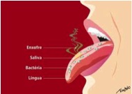 Mauvaise haleine ou halitose : définition, symptômes et traitements